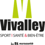 Logo ViValley"